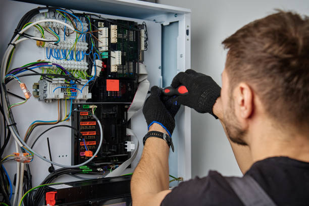 Licensed Electrical Panel Upgrade service in Litchfield, MI - No Joke electrician